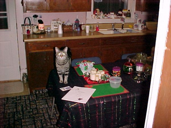 can pens suicide note