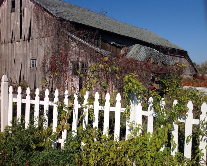 copyright Janet Webb