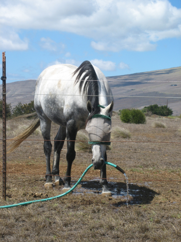 copyright Douglas MacIlroy