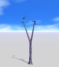 Let's add another branch, baby.