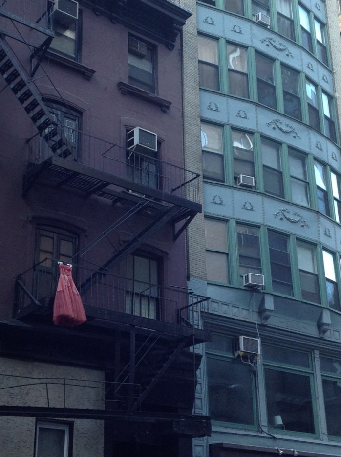 copyright Janet Webb