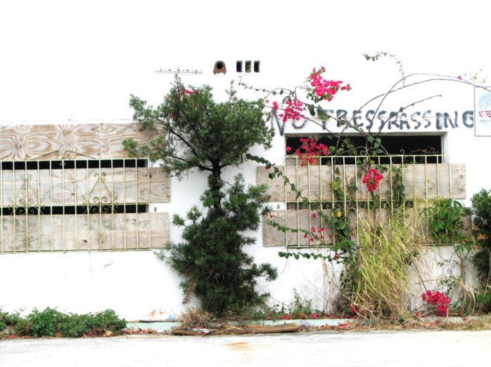 copyright - Randy Maize