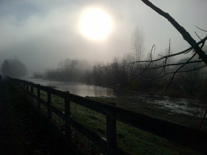 copyright - Erin Leary