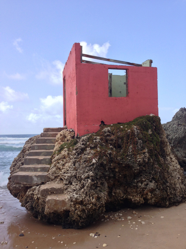 copyright - Dawn Landau