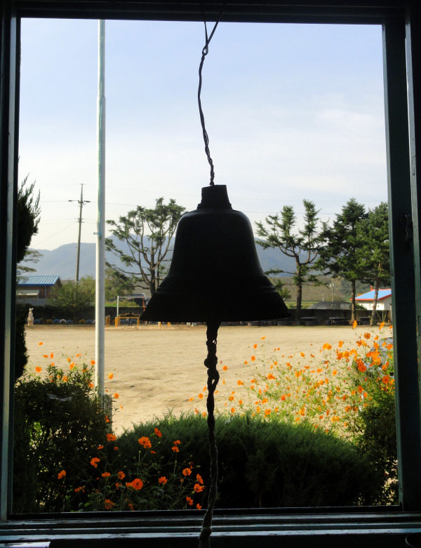 copyright - David Stewart