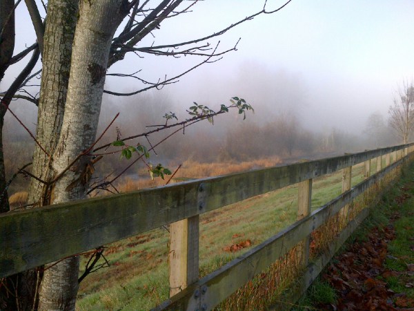 copyright - Erin Leary