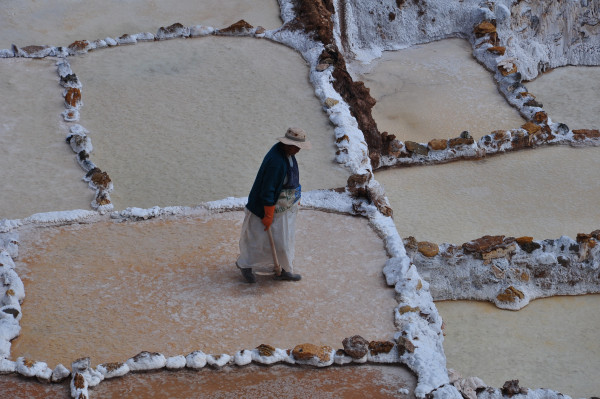 copyright - Dawn Q. Landau