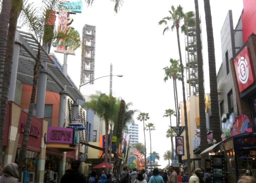 copyright - Susannah Clementine Wisoff-Fields