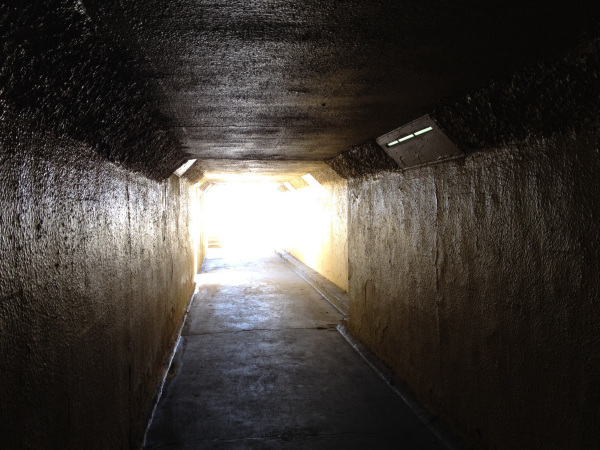 copyright - Stephen Baum