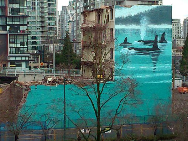 copyright - C.E. Ayr