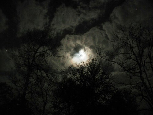 copyright - Madison Woods