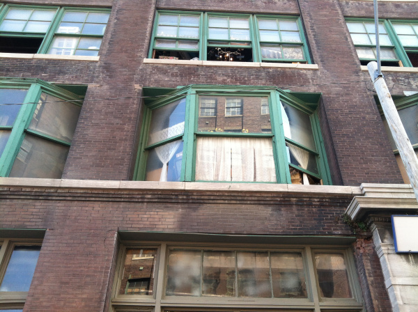 copyright - Rochelle Wisoff-Fields