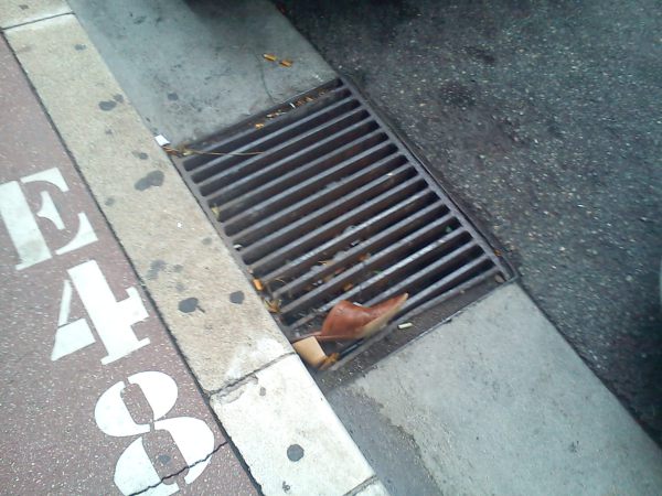 copyright - C.E. Ayr