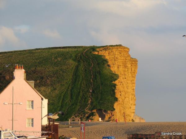 copyright - Sandra Crook