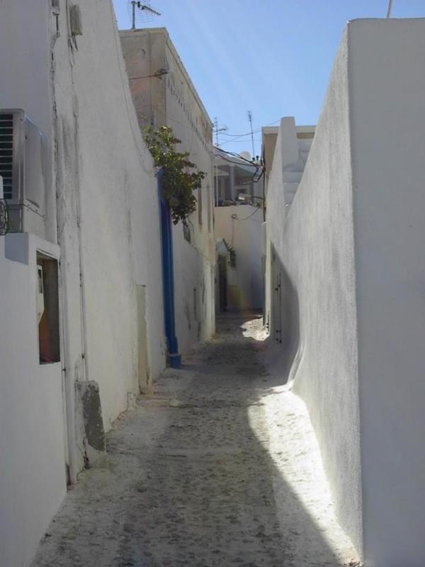 copyright - Jan Morrill