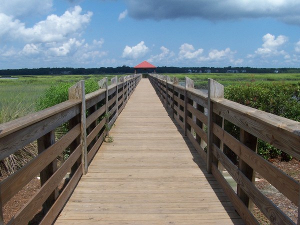 copyright - Adam Ickes