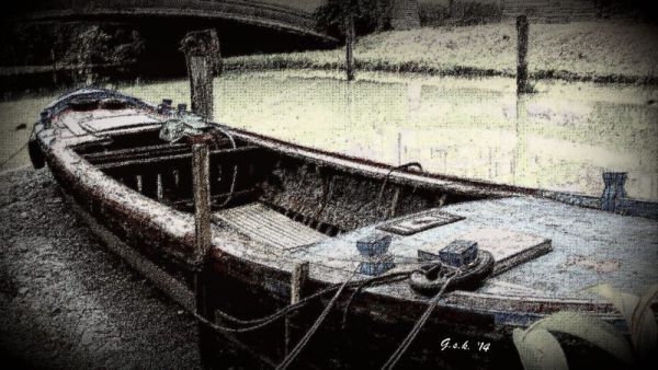 copyright - Georgia Koch