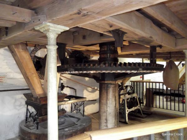 copyright - Sandra Crook